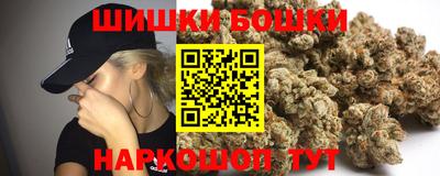 МДПВ Камышлов
