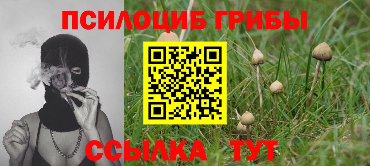 Энгельс  наркошоп  Вход с VPN  Псилоцибиновые грибы MAGIC MUSHROOMS 